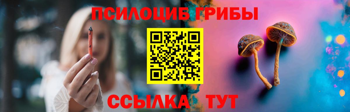 Псилоцибиновые грибы Psilocybine cubensis Гулькевичи